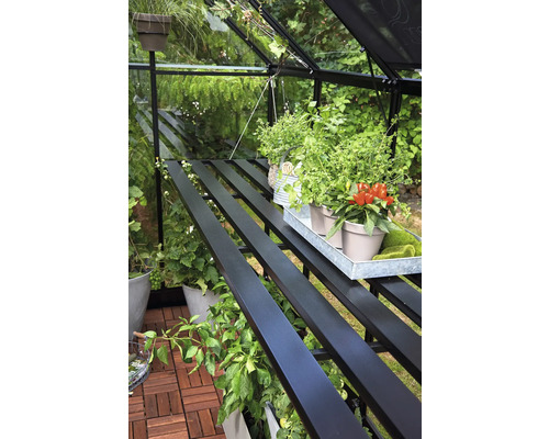 Interieur van een kas met planken en planten