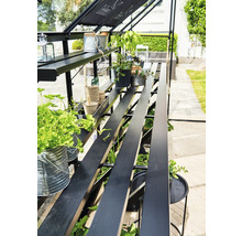 Detailopname van een kas met planten en schappen