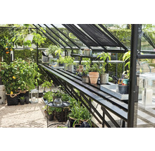 Kas met planten op tafels en in hangpotten