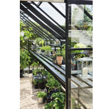 Kweekkas met planken en planten