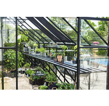 Kas met planten en rekken voor de tuin