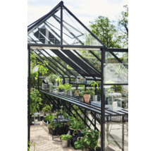 Kas met planten op planken en tafels.
