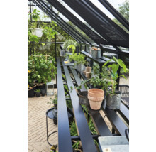 Kas met planten en planken voor de tuin