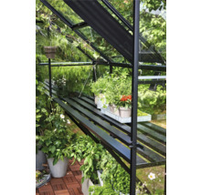 Kas met planten op planken en tafels