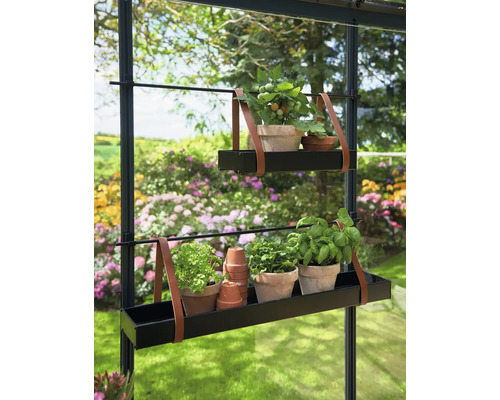 Plantenrek met kruiden en tomatenplant in de kas