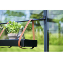 Plank met leren banden, potplant en glazen vaas in de kas