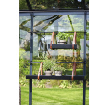 Kas met planken, planten, gieter en tuingereedschap