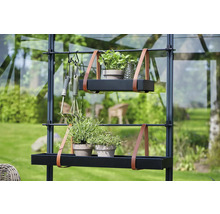 Kweekkas met twee plantenplanken, planten en tuingereedschap