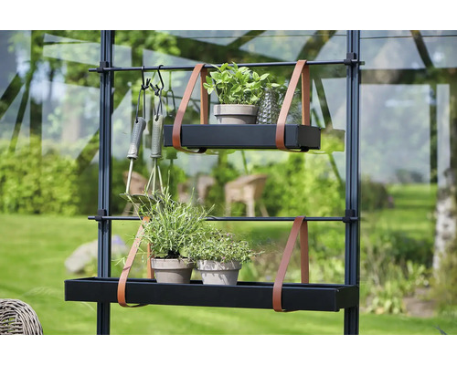 Kweekkas met twee plantenplanken, planten en tuingereedschap