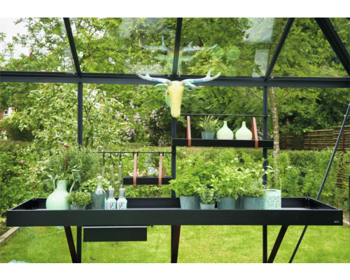 Interieur van een kas met tafel, schappen, planten en decoratie