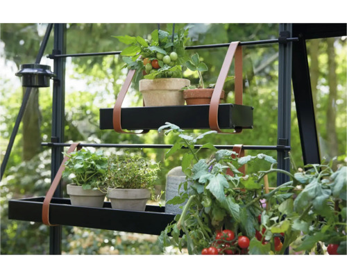 Twee zwarte plantenrekken met lederen ophanging in een kas, beplant met kruiden en tomatenplanten