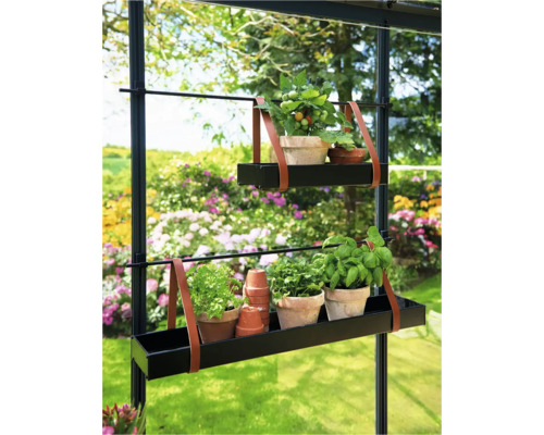 Kweekkasplank met planten en kruiden in potten aan een zwarte metalen structuur