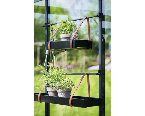 Rek met planten in een serre