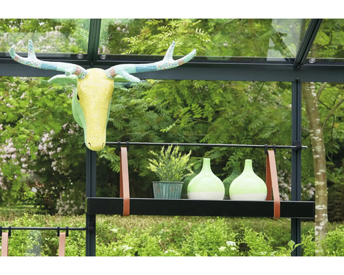 Decoratieve geweien, plant en vazen op een zwarte plank in de kas.