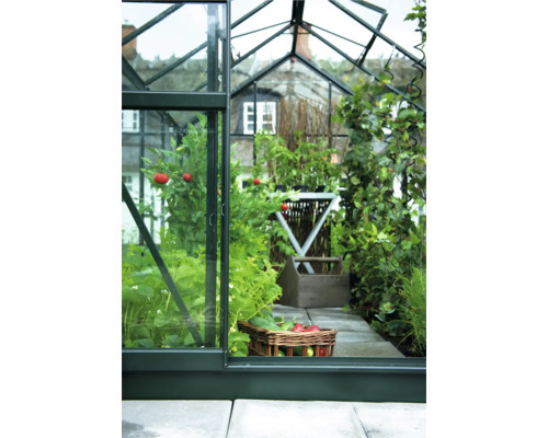 Kast met rijpe tomaten en verschillende groenten in een mand