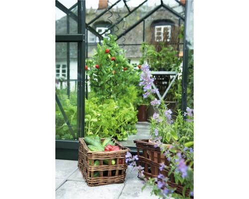 Kas interieur met groenten in manden en planten