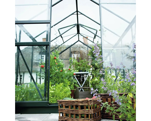 Kas met open deur, planten en groenten in manden.