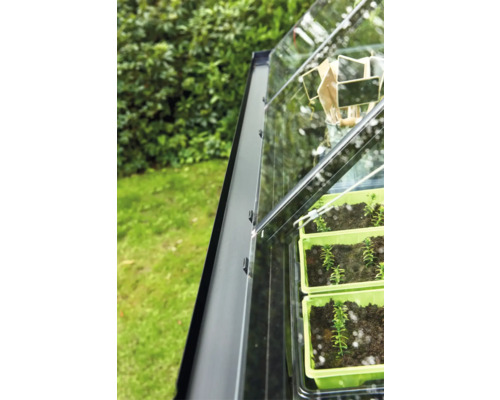 Detailopname van een kas met jonge planten in zaaibakken