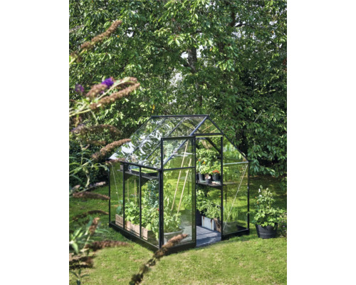 Tuinkas met planten in potten en plantenbakken.