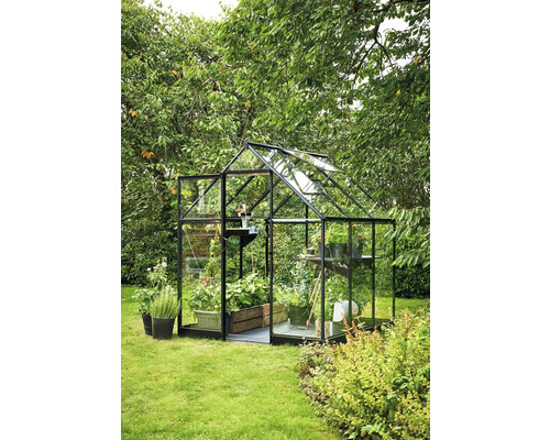 Kas met planten in de tuin