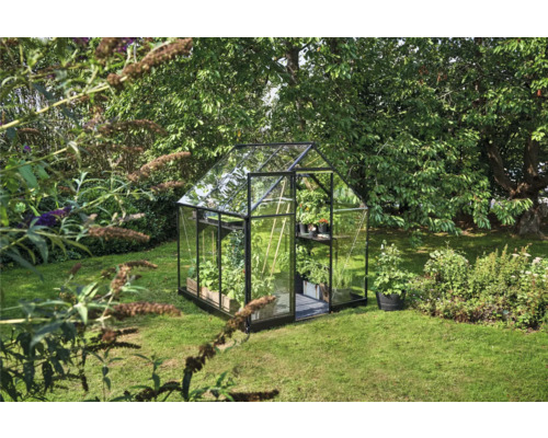 Glazen serre in de tuin met planten