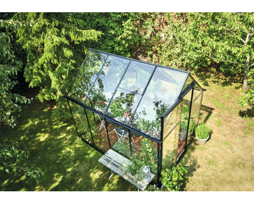 Kas met glazen wanden en planten in de tuin.