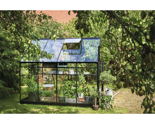 Kas met planten in een tuin