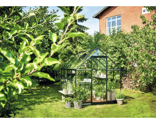 Kas in de tuin met planten en decoratie