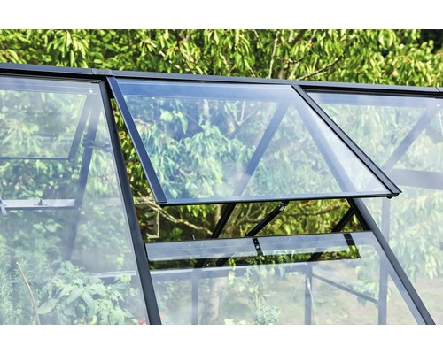 Detailopname van een kas met een open raam voor ventilatie.