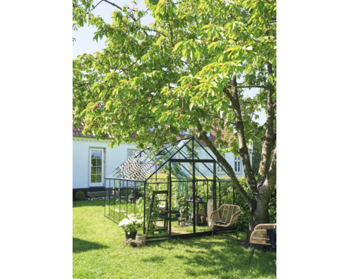 Kas in de tuin met bomen en tuinmeubelen