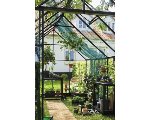 Kas met planten, rekken en een houten pad in de tuin.