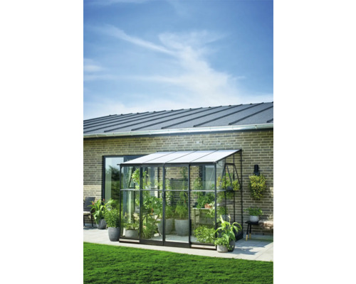 Glazen kas met planten in de tuin.