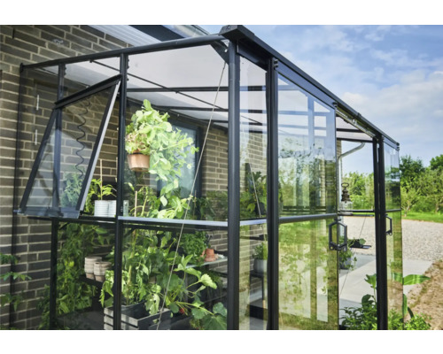 Kas met plantenrekken en open raam