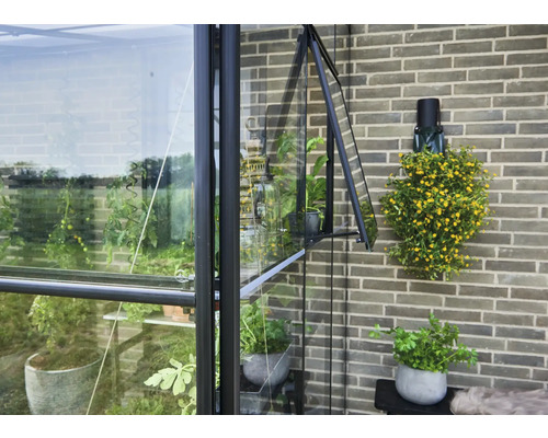 Kweekkas met planten en open raam voor ventilatie