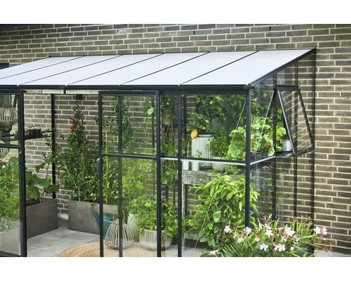 Kas met planten en open raam