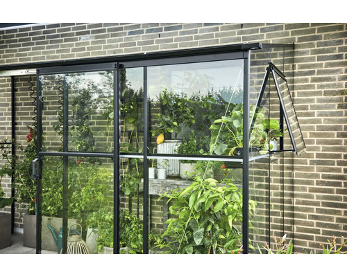 Tuinkas met planten en open raam