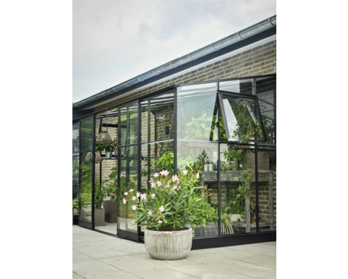 Glazen kas met planten en plank