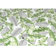 D-C-FIX Plakfolie Liva bladeren groen 45x200 cm