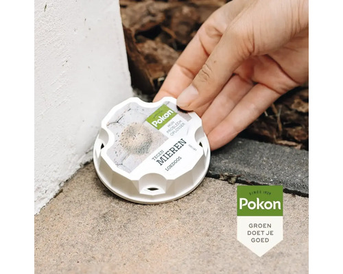 Pokon mierenlokdoos in gebruik