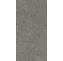 Grijze leisteen plaat