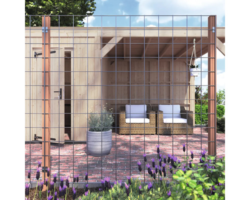 Draadhek voor tuinhuis met zithoek en planten