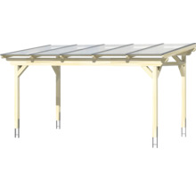 Houten carport met transparant dak