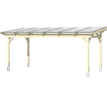 Houten carport met transparant dak