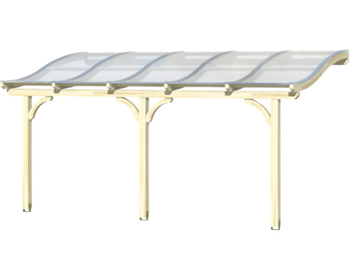 Houten carport met transparant dak