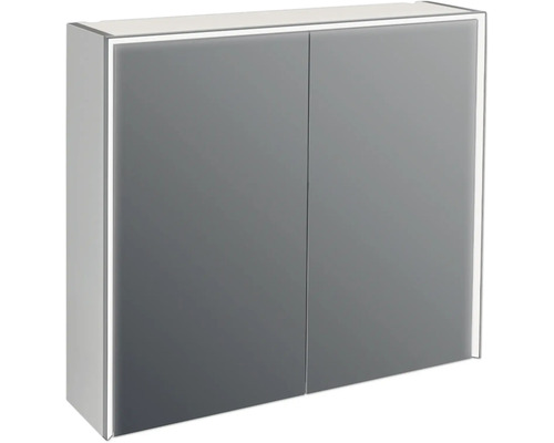 JUNGBORN Spiegelkast 2-deurs met LED verlichting Quattro/Sedici/Nove 80x70x20 cm grijs mat