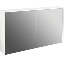Spiegelkast met twee deuren voor de badkamer