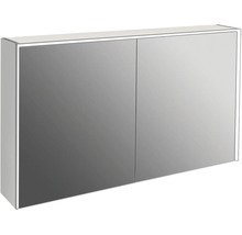 Spiegelkast met twee deuren voor de badkamer