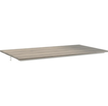 Plank met dragers