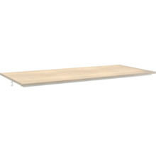 Legplank met plankdrager