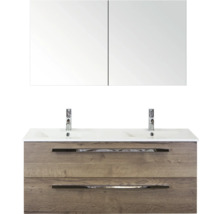 Wastafelmeubel met twee wastafels, twee lades en spiegelkast